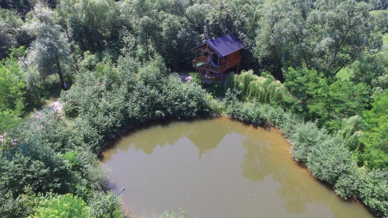 Willa Cuibul Vulturilor - Casuta In Copac Moisei Zewnętrze zdjęcie
